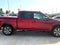 2019 Ford F-150 XLT 2WD SuperCrew 5.5' Box