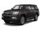 2013 Toyota 4Runner RWD 4dr V6 SR5 (Natl)